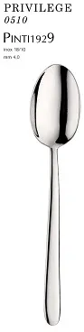CUCCHIAIO FRUTTA ACCIAIO PRIVILEGE 185MM 12PZX10CFXCT