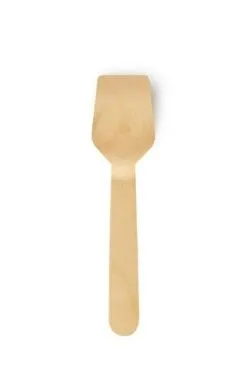 PALETTINA GELATO COMPOSTABILE 9.6CM LEGNO 100PZX100CFXCT XFPG95FLATF