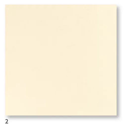 COPRIMACCHIA DUNISOFT 100X100 CREMA 50PZXCT
