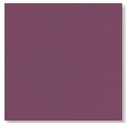 COPRIMACCHIA DUNISOFT 100X100 PRUGNA 50PZXCT