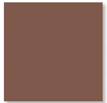 COPRIMACCHIA DUNISOFT 100X100 NOCCIOLA 50PZXCT