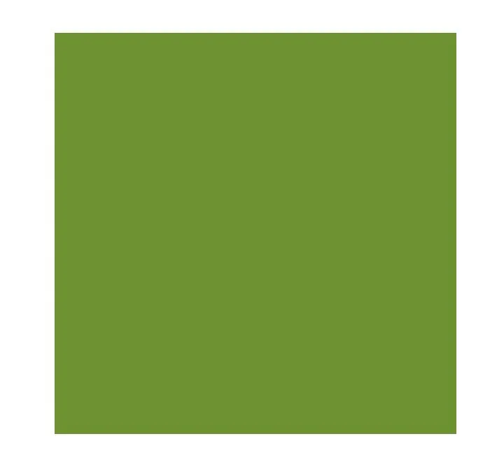 TOVAGLIOLO 2V 33X33 DUNI LEAF GREEN 125PZX16CFXCT