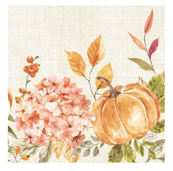 TOVAGLIOLO 3V 33X33 SPICY PUMPKIN 50PZX10CFXCT