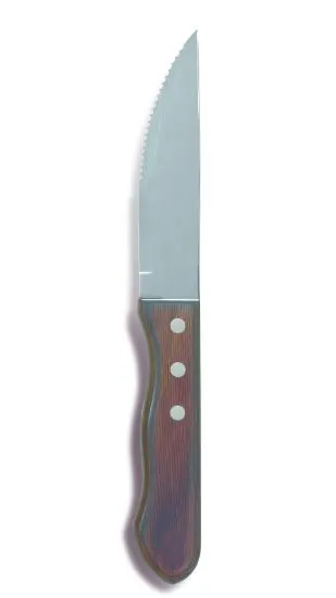 COLTELLO BISTECCA CHURRASCO HQ 254MM 60PZXCT
