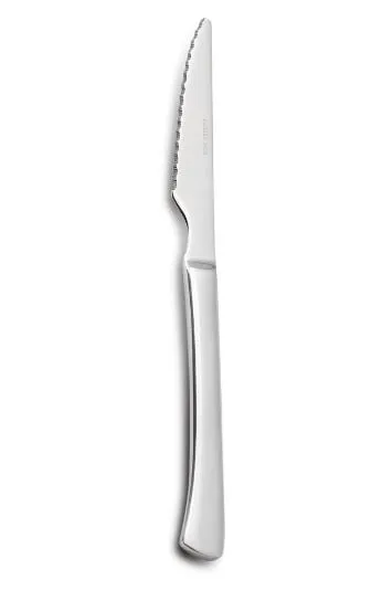 COLTELLO BISTECCA-PIZZA PERFECT ECO 215MM ACCIAIO 12PZX10CFXCT