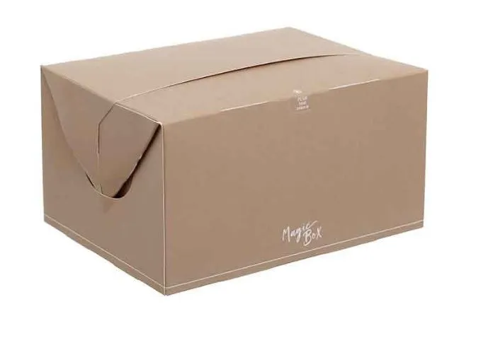 BOX SCATOLA TAKE AWAY KRAFT RUSTICI 1600ML CM16X12X8.5H AVANA 50PZX8CF