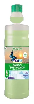 DETERGENTE PAVIFLY PAVIMENTO SUPER CONCENTRATO GINOSTRA 1LT 6BTXCT