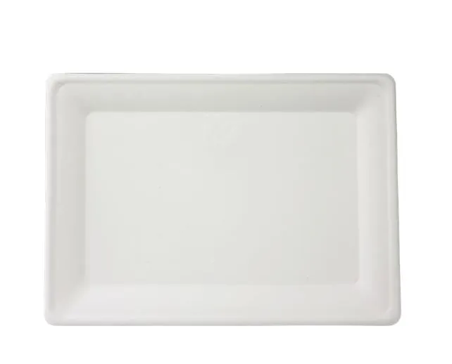 PIATTO PIANO RETTANGOLARE 20X28 ZEN PULP COMPOSTABILE 40PZX8CFXCT