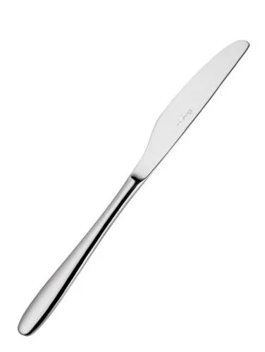 COLTELLO ACCIAIO ARMONIA 250MM 12PZXCF